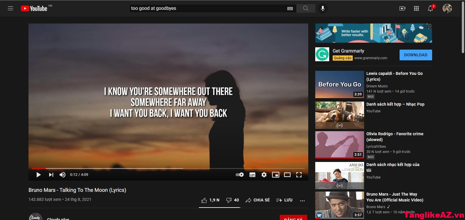 Tải Phụ Đề Youtube - Đơn Giản Tải Phụ Đề Từ Youtube