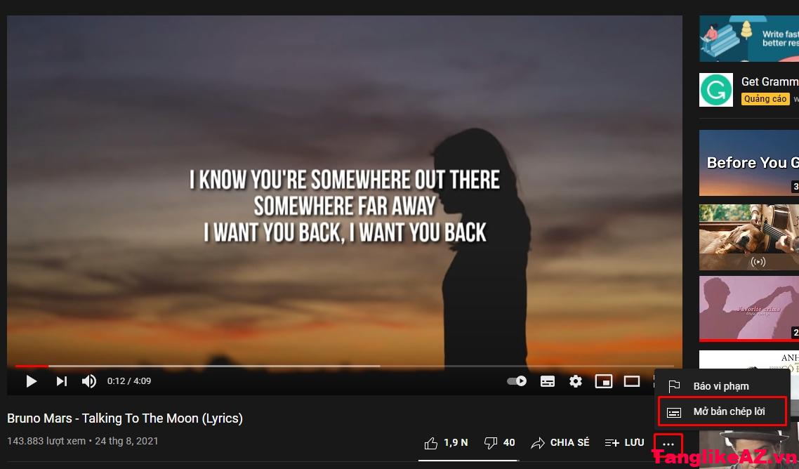 Tải Phụ Đề Youtube - Đơn Giản Tải Phụ Đề Từ Youtube